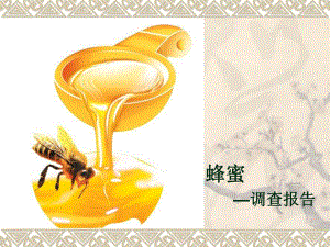 老字号蜂蜜调查报告.ppt