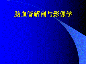 脑血管解剖与影像学.ppt