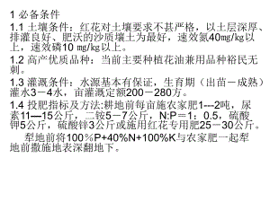 红花栽培技术.ppt