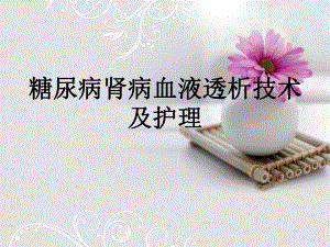 糖尿病肾病血液透析.ppt