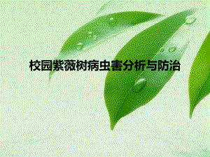 紫薇树病虫害介绍.ppt