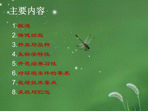 莲雾栽培技术.ppt