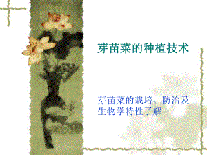芽苗菜栽培技术.ppt
