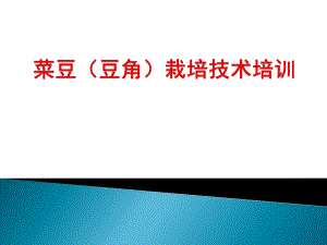 菜豆栽培技术.ppt