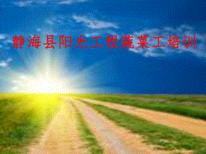 芹菜栽培技术.ppt