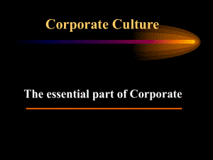 英文版企业文化.ppt