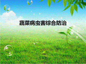 蔬菜病虫害综合防治.ppt