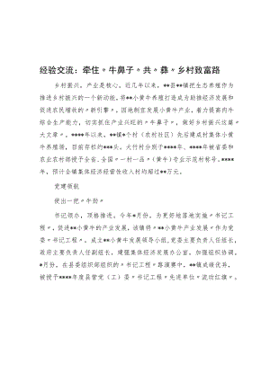 经验交流：牵住“牛鼻子”共“犇”乡村致富路.docx