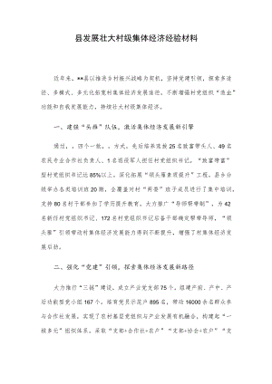 县发展壮大村级集体经济经验材料.docx
