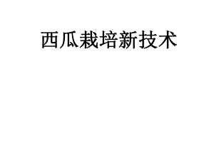 西瓜栽培新技术.ppt
