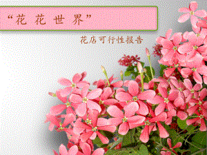 花店可行性报告.ppt