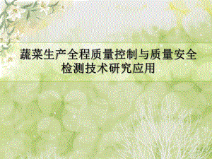 蔬菜全程质量控制.ppt