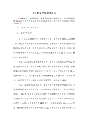 个人司法工作情况总结.docx