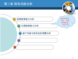 财务风险分析PPT.ppt