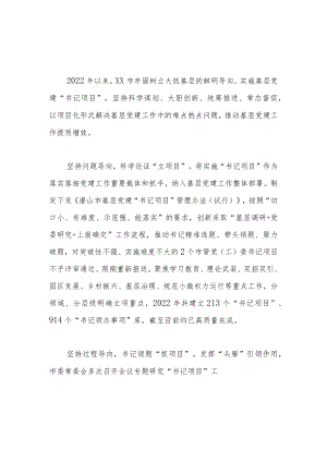 实施基层党建“书记项目”工作总结.docx