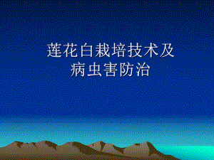 莲花白栽培技术及.ppt