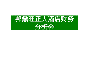 酒店财务分析范例.ppt