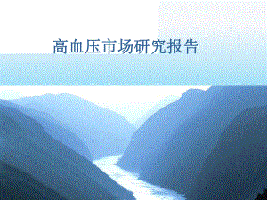 高血压市场研究报告.ppt