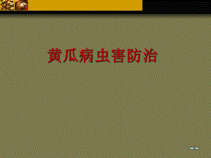 黄瓜病虫害防治用.ppt