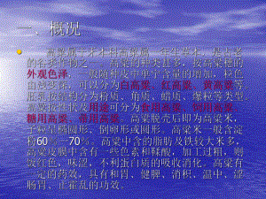 高粱栽培技术.ppt