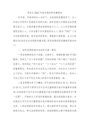 某县长 2022 年度述德述职述廉报告.docx