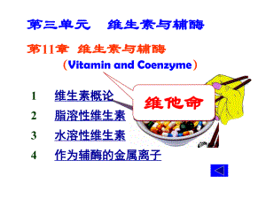 《生物化学》维生素与辅酶.ppt