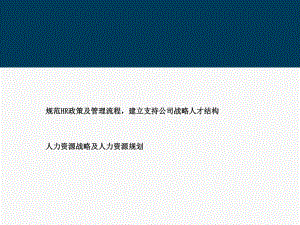 【实例】某软件公司人力资源战略及人力资源规划(ppt45).ppt