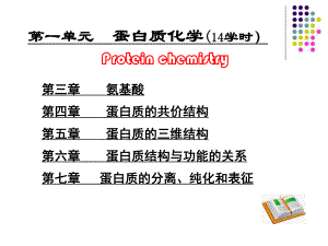 《生物化学》氨基酸.ppt