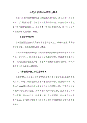 公司内部控制体系评价报告.docx