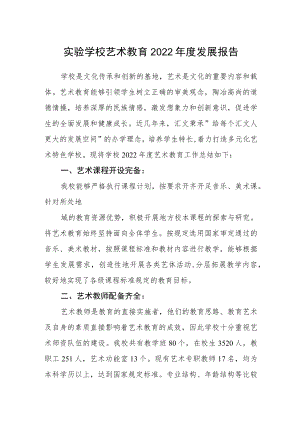 实验学校艺术教育2022年度发展报告.docx