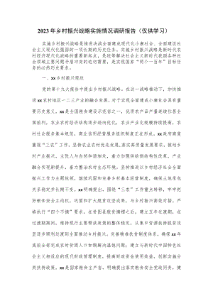 2023年乡村振兴战略实施情况调研报告.docx