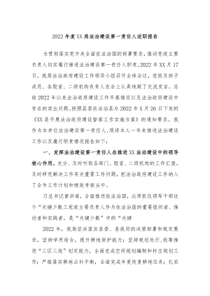 2022年度XX局法治建设第一责任人述职报告.docx