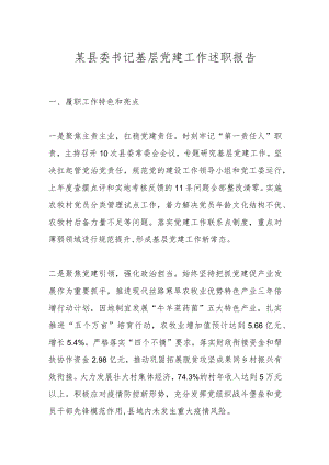 某县委书记基层党建工作述职报告.docx