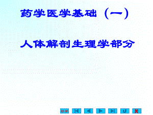 人体解剖生理学课件.ppt