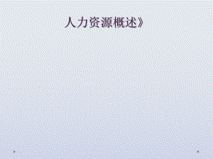 人力资源概述》.ppt