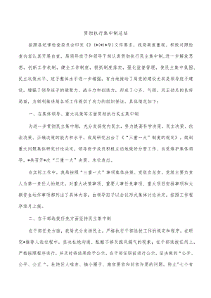 贯彻执行集中制总结.docx