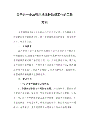 关于进一步加强耕地保护监督工作的工作方案.docx