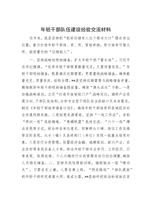 年轻干部队伍建设经验交流材料.docx