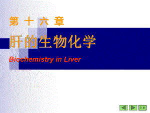 人卫版生物化学第16章肝的生物化学.ppt
