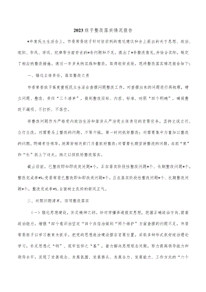 2023班子整改落实情况报告.docx