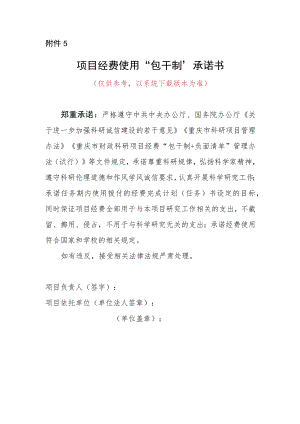 项目经费使用“包干制”承诺书.docx