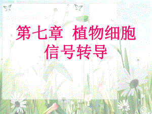 中国科学院大学植物生理学课件：植物生理学第七章.ppt