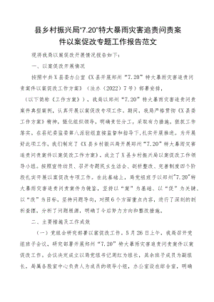 县乡村振兴局720特大暴雨灾害追责问责案件以案促改专题工作报告范文工作汇报总结文章.docx