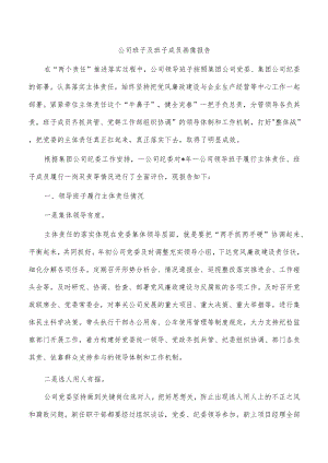 公司班子及班子成员画像报告.docx