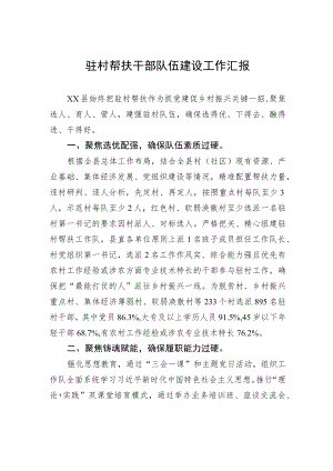 驻村帮扶干部队伍建设工作汇报.docx