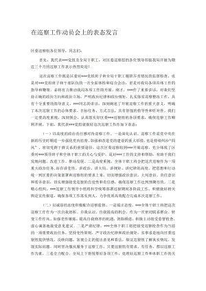 在巡察工作动员会上的表态发言.docx