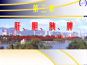 急腹症比较影像学.ppt