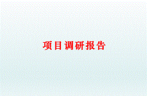 养老项目调研报告.ppt