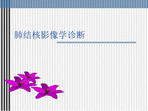 肺结核的影像学诊断.ppt