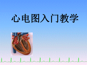 心电图入门教学.ppt